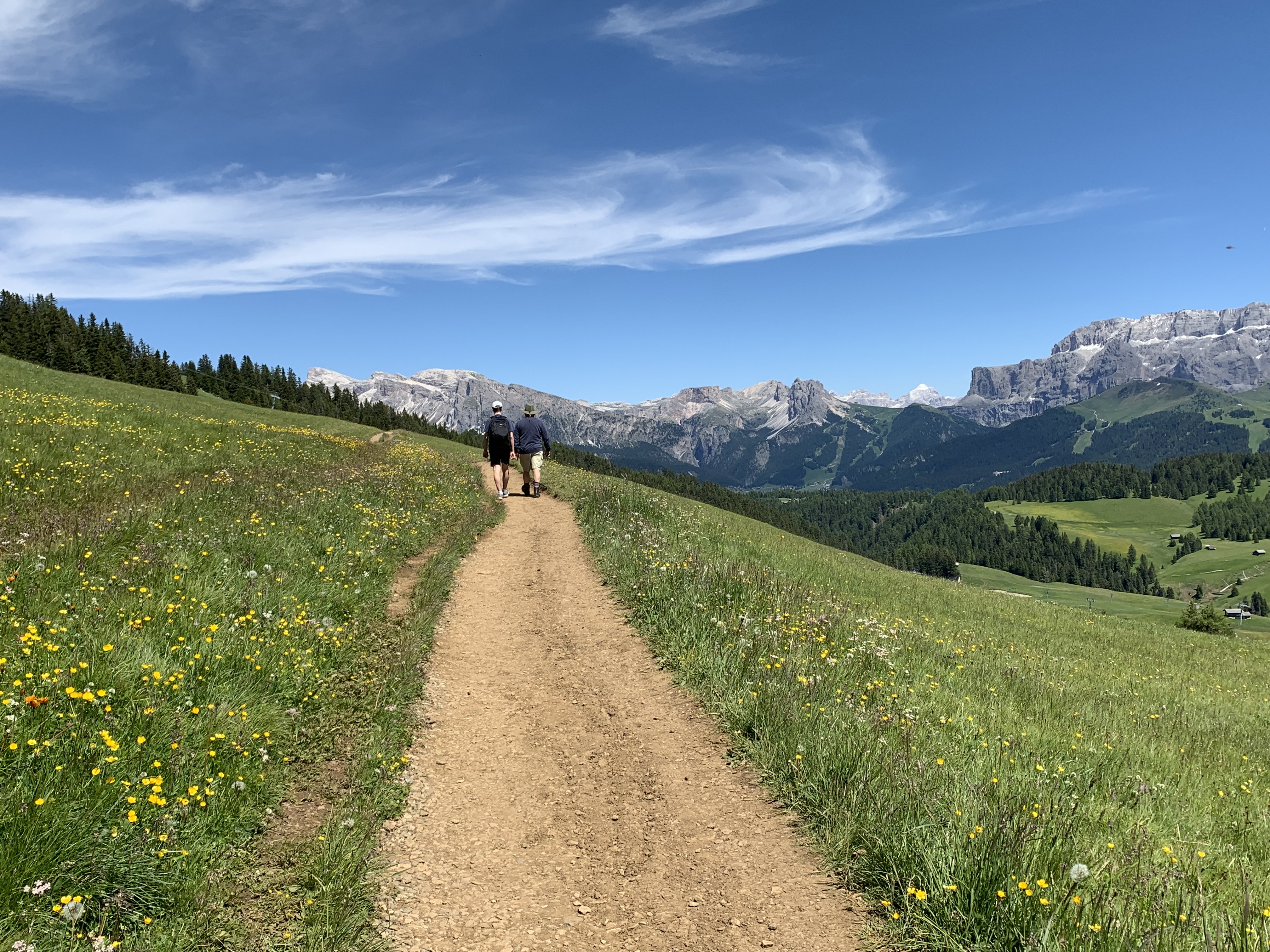 two men walk on a trail in a distance