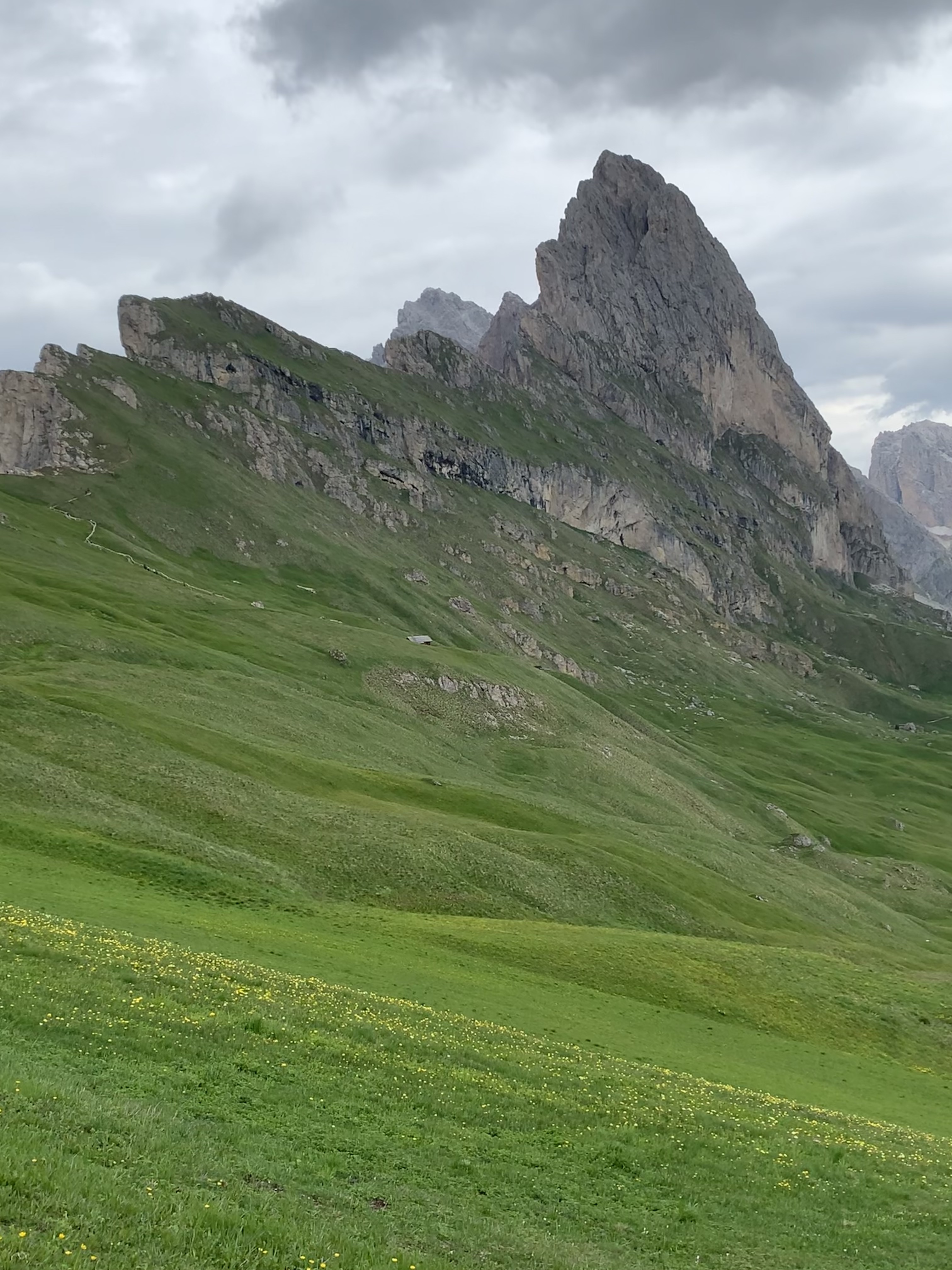 a large rock covered in grass juts out